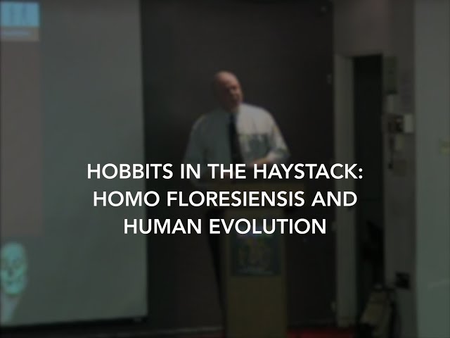 Hobbits in the Haystack |  William Jungers