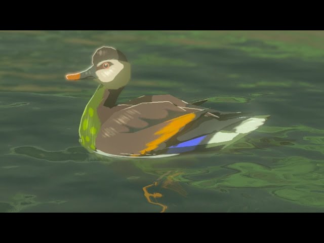 Duck 🦆 Tears of the Kingdom 100%
