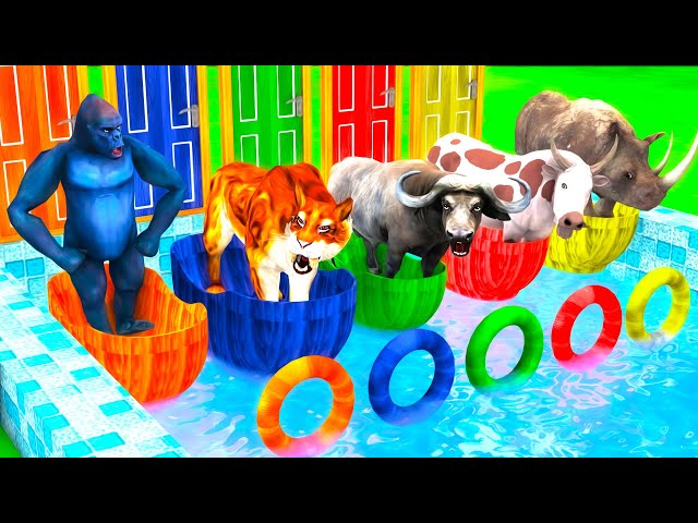 Jump into the Bathtub and Open Door to Luck! Saber Tooth Tiger, Gorilla, Buffalo, Rhinoceros, Cow
