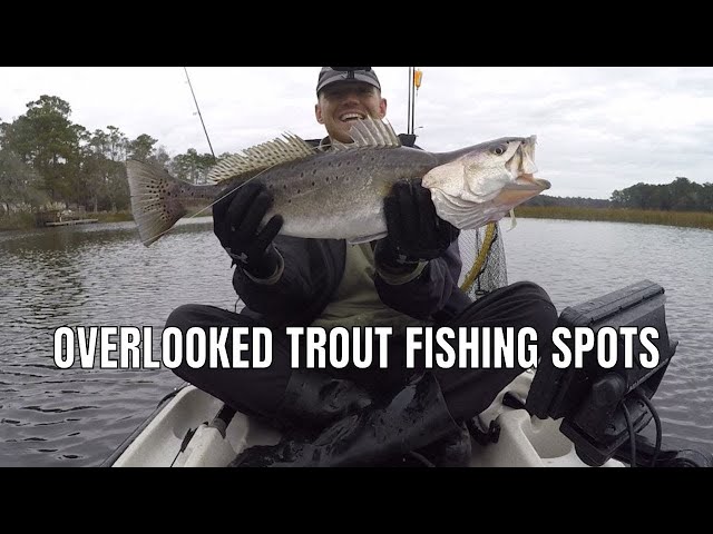 Overlooked Speckled Trout Winter Fishing Spots
