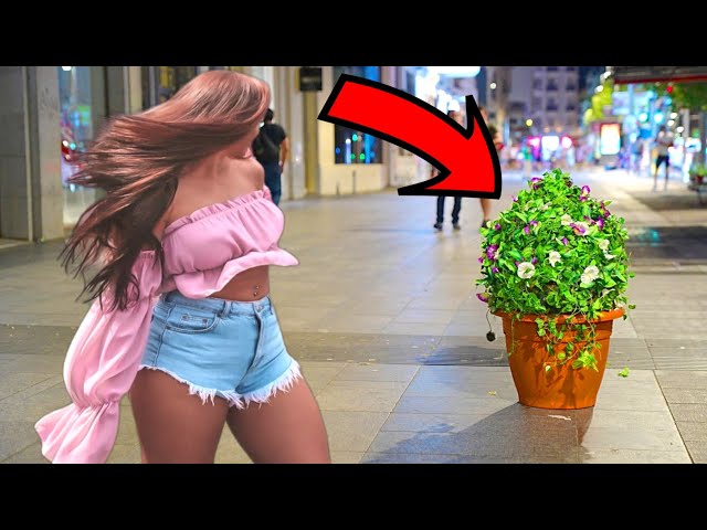 TRY NOT TO LAUGH (99% IMPOSSIBLE) Bushman Prank