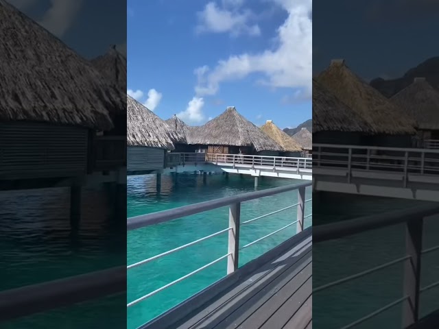 Maldives Vs. Bora Bora