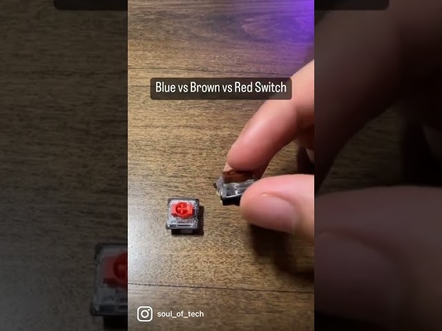 Difference Between a Blue, Brown and Red Keyboard Switch
