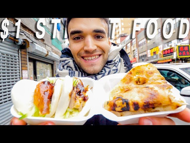 Living on $1 Street Food Around The World! (Ep. 1 / NYC)