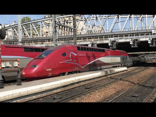 Thalys Trains at Paris Gare du Nord