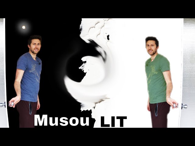 Blackest Paint (Musou Black) + Brightest Paint (LIT) = The Blackest Light