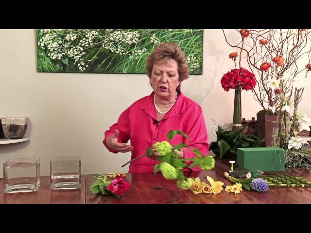 Tips for Spring with Judith Blacklock
