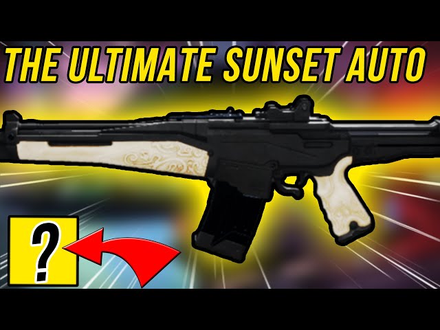 THE BEST SUNSET AUTO RIFLE OF ALL TIME! (Drifters Banned Auto Rifle)