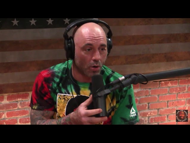 Joe Rogan on Working for a Private Investigator