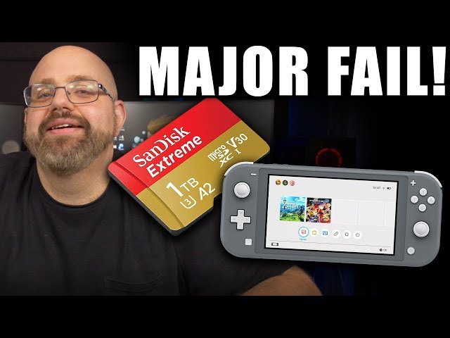 Why The Hell Did I Buy This For My Nintendo Switch? (Switch SD Card Upgrade Tutorial)
