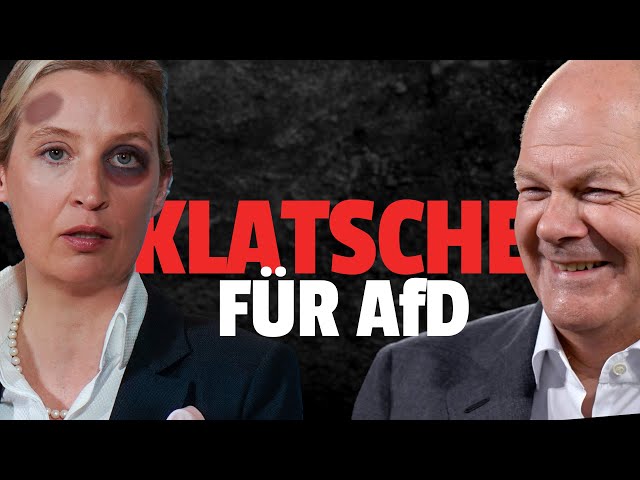 Presse FEIERT: AfD schmiert ab und SPD überholt