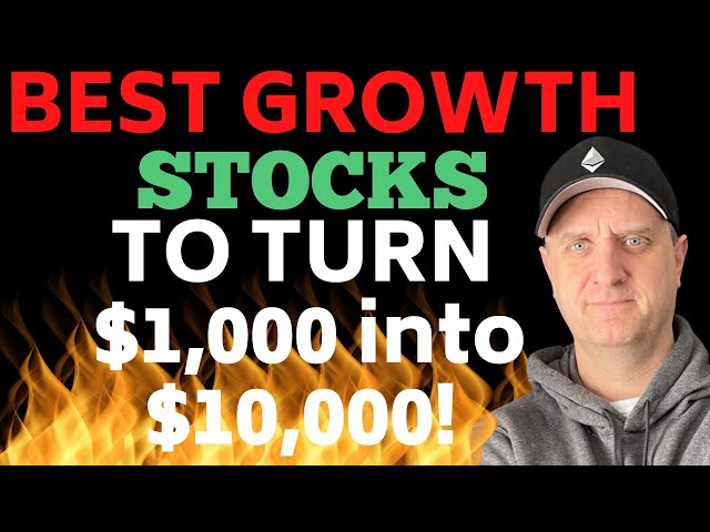 BEST STOCKS TO BUY TO TURN $1,000 INTO $10,000 {GROWTH STOCKS 2023 FEBRUARY}