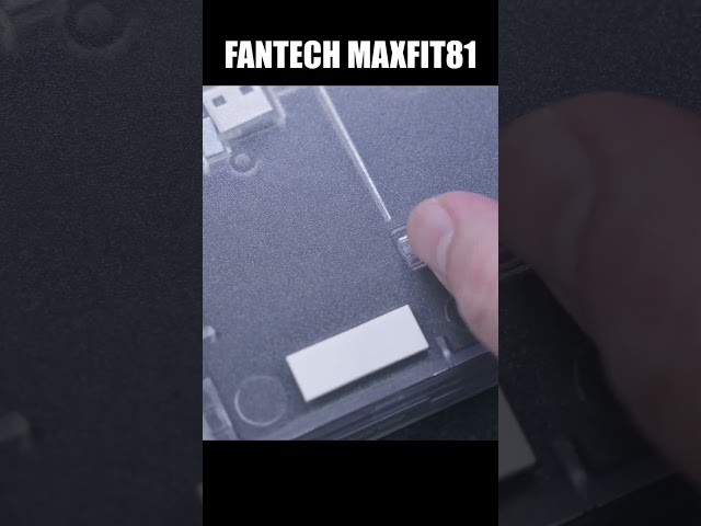 Fantech Maxfit81 - #shorts
