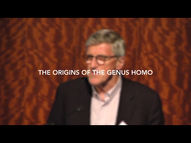 The Origins of the Genus Homo | Bernard Wood