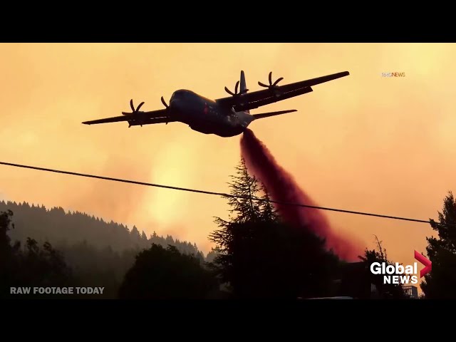 U.S. West Coast Wildfires: California fighting 560 wildfires, requests help from Canada & Australia