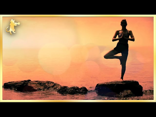 Calming Music for Yoga ~ 3 HOURS of Peaceful Yoga Practice Music
