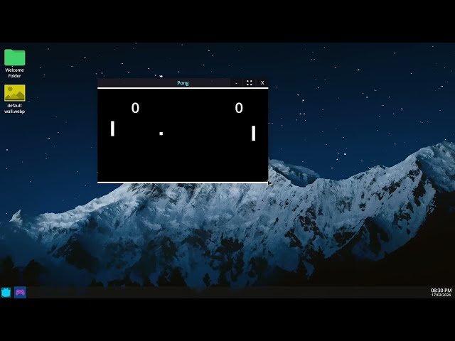 i played a game of Pong on my new Linux Desktop