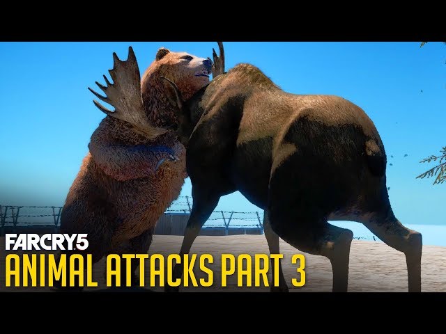 All Animal Attacks on Grizzly Bear (Animal Attacks Part 3) Animals VS Bears - FAR CRY 5