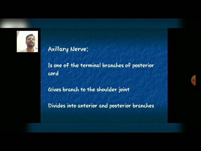 Axilla - Nerves Part-6- By Dr. Robin Chopra (PT)/ Dept. of Physiotherapy/ RPIIT Academics.