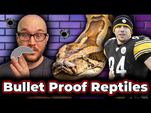 CAN'T BE KILLED! Top 5 Bulletproof Reptiles With NFL Legend Chad Brown!