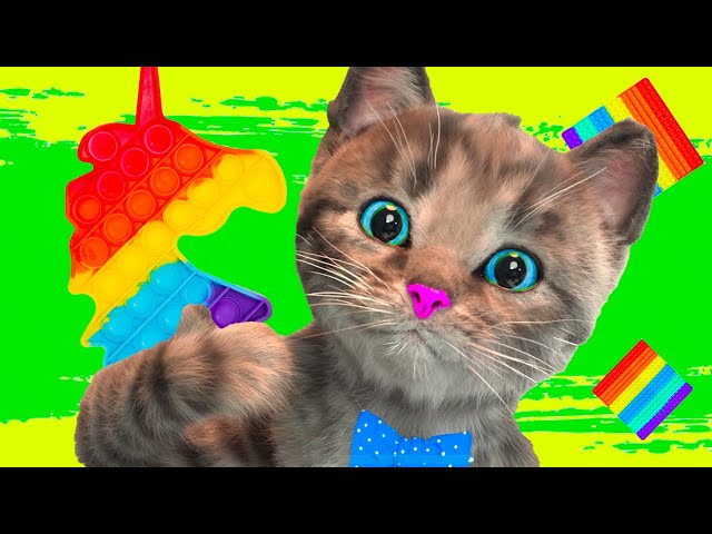 CUTE LITTLE KITTEN ADVENTURE - PET CARE AND SUPER CAT CARTOON STORY AND CAT VIDEOS