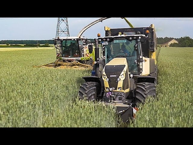 CHOPPING GRAIN WITH CLAAS TRACTORS AND CLAAS JAGUAR HARVESTER