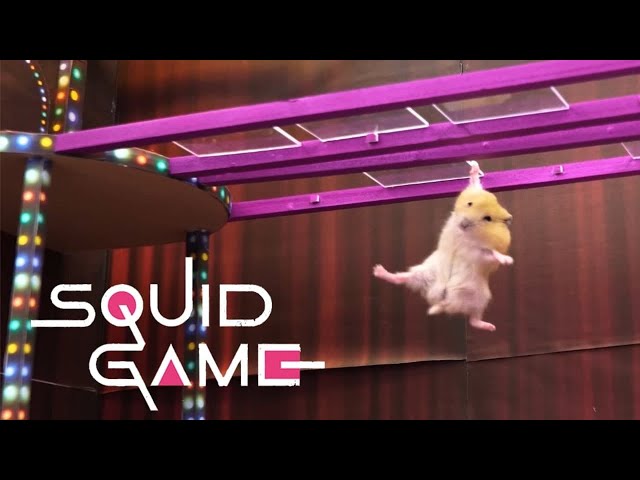 Squid Game vs Hamsterious: All Amazing Challenge