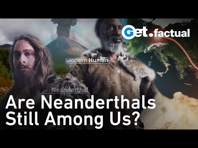 12 Facts you need to know about the Neanderthal Apocalypse - Part 1