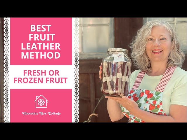 Best Fruit Leather Method with 20 Tips for Success