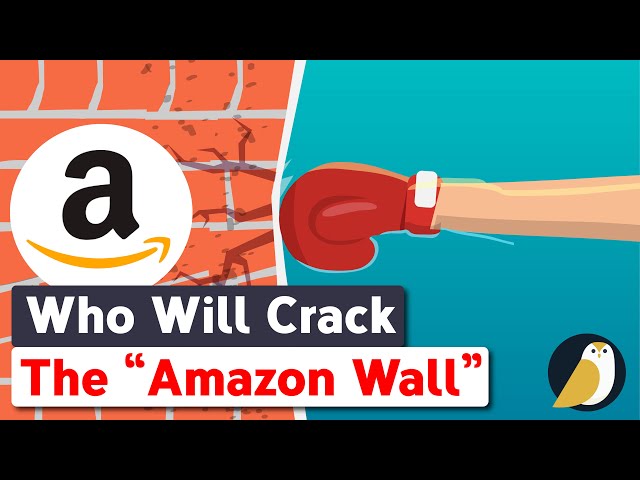 How Ruthlessly The Amazon Competes! (& The Great Amazon Wall)