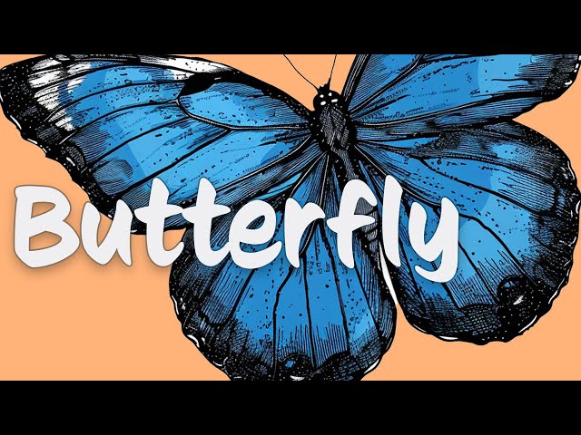 Butterflies are FANCY Insects 🦋 Metamorphosis 🐛 Pollination 🌻