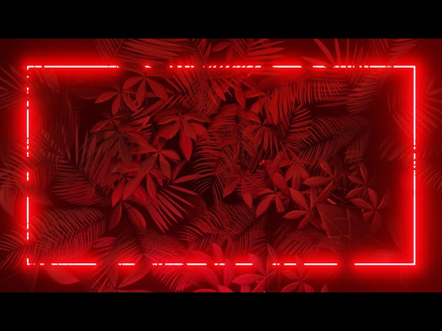 Abstract Red Neon Frame 3D Leaves Animated Cool VJ Loop Video Loop Moving Glowing Lights