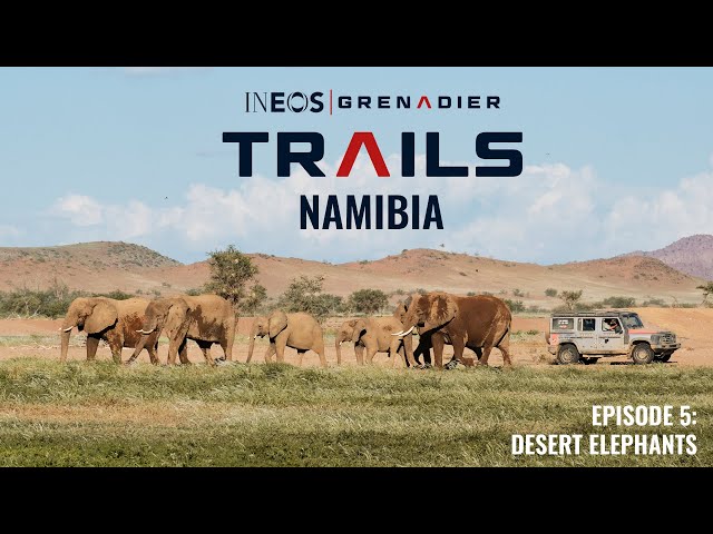 Desert Elephants | TRAILS: Namibia Episode 5 | INEOS