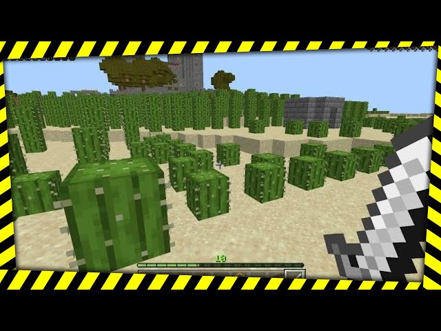 Minecraft Survival Castle EP8 - Torches and Cactus and Fences Oh My