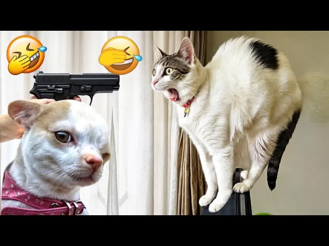 Cute animal Videos That You Just Can't Miss😹🐕Part 14