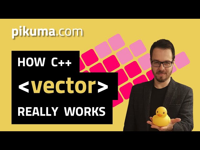 How C++ Vector Works