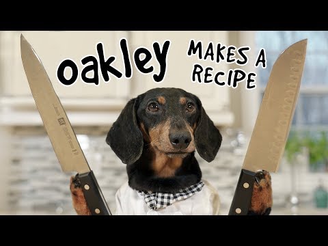 Ep 10. OAKLEY MAKES A RECIPE - What Could Go Wrong?!