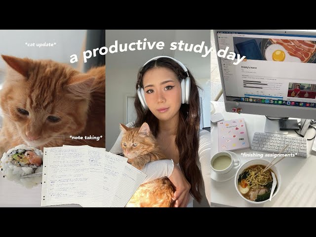 Study vlog 💌 productive day in my life, 9am wakeup, finishing my assignment, d&m chit chat
