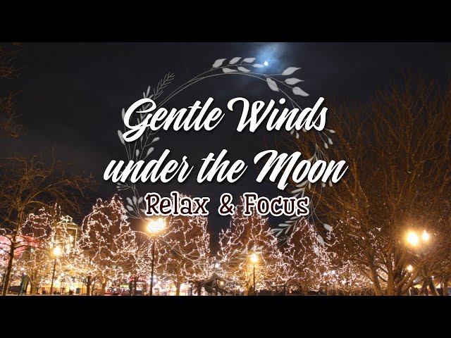 Gentle Winds under the Moon 🎶 Piano Relax Music