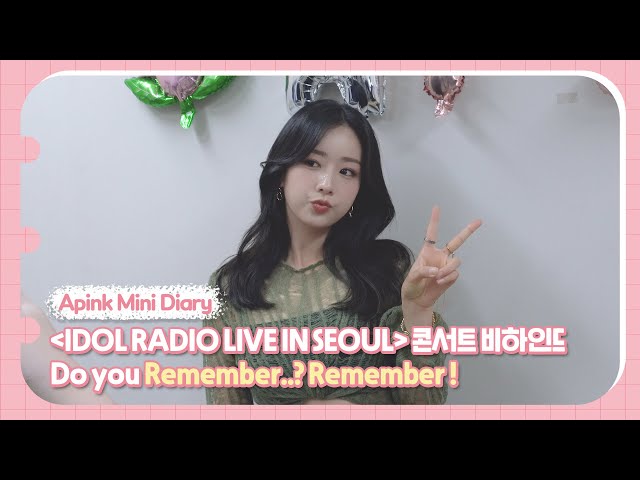 (SUB) Apink Mini Diary - "IDOL RADIO LIVE IN SEOUL" 콘서트 비하인드 Do you Remember..? Remember!