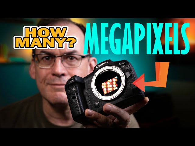 HOW MANY MEGAPIXELS DO YOU NEED?  YOU MAY BE SURPRISED!