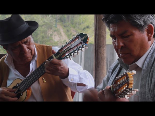 Bonny Alberto Terán - DONATA + Yapitas de Charangos de Bolivia (con Alfredo Coca y Wilson Terrazas)