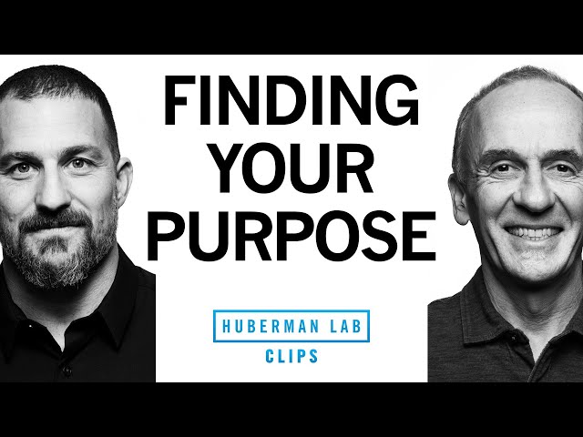 How to Find Your Purpose in Life | Dr. EJ Chichilnisky & Dr. Andrew Huberman