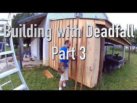 Building Shed Roof from a Fallen Tree