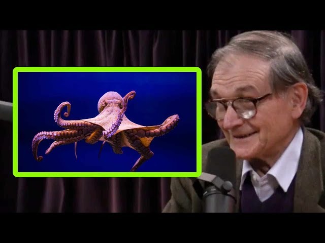 Sir Roger Penrose: Are Animals Conscious Like We Are?