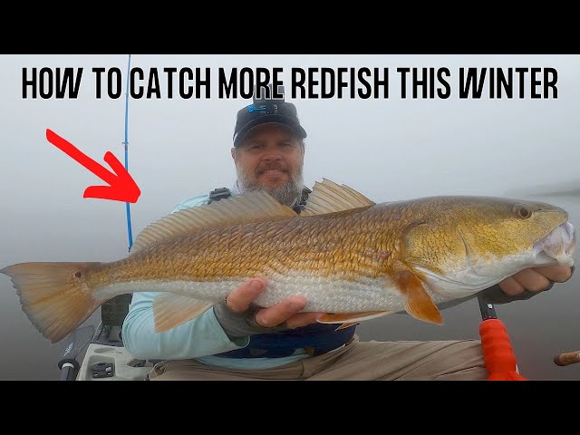 Where To Sight Fish For Redfish In The Winter