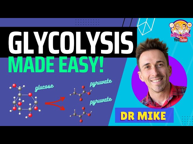 Glycolysis Made Easy!