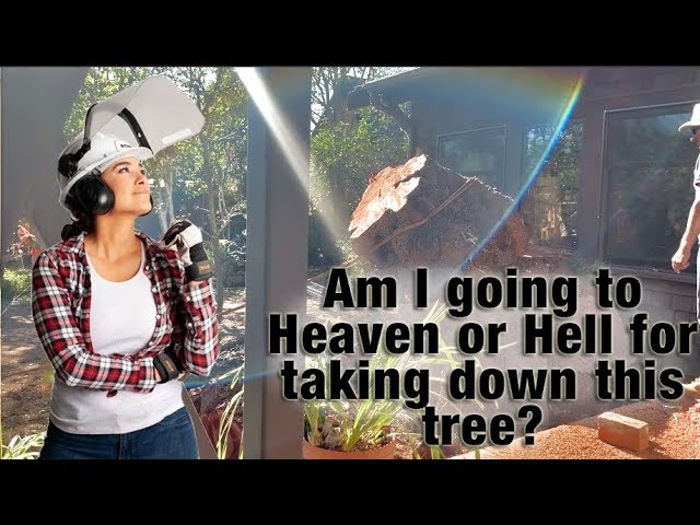 Taking down a giant pepper tree, am I going to hell? | Sara Bendrick