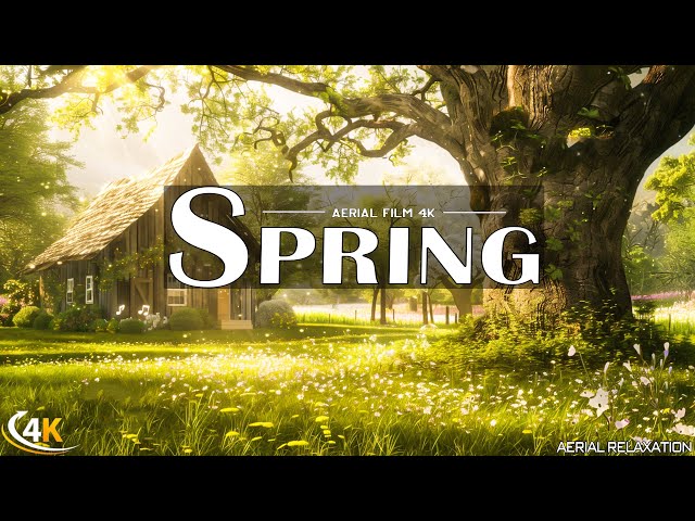 Cozy Spring Ambience - Relaxing with Beautiful House under the Spring Trees in the Forest