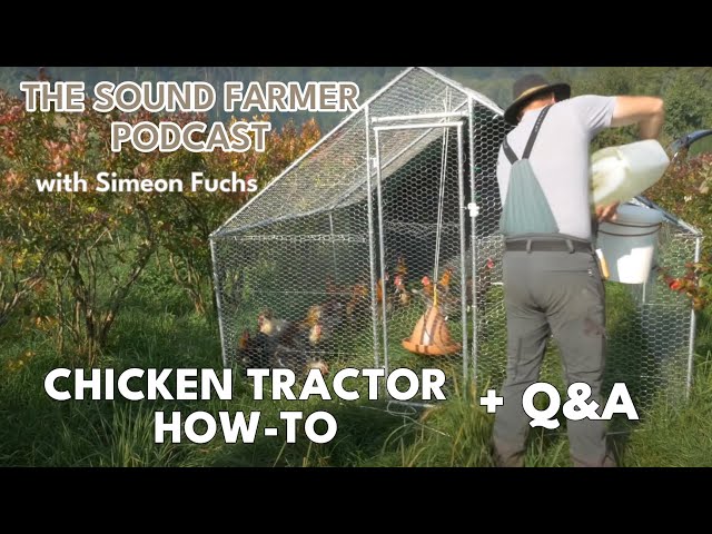 PODCAST: The Ultimate Guide to Chicken Tractor Success